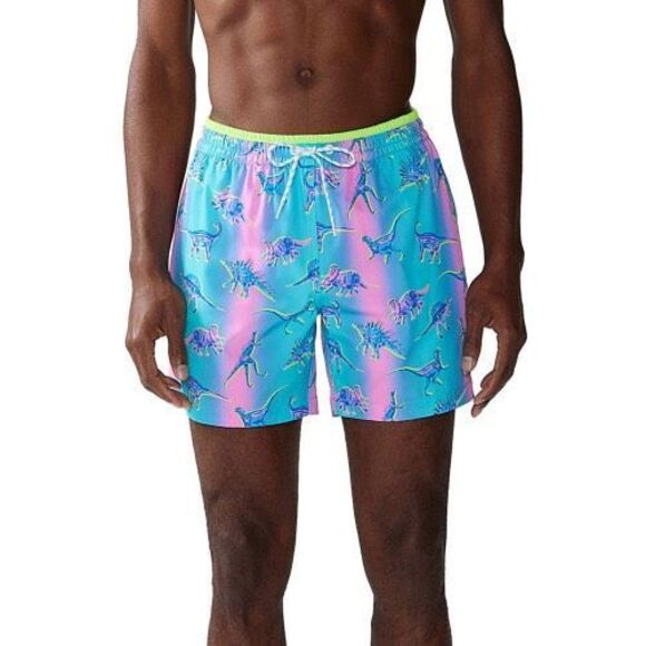 chubbies Other - Chubbies NWT Classic 5.5" Swim Trunks with Liner Dino Delights Medium